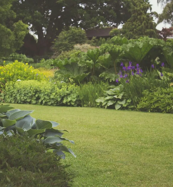 une-pelouse-verte-luxuriante-a-6da8277a